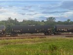 ETHX 100501